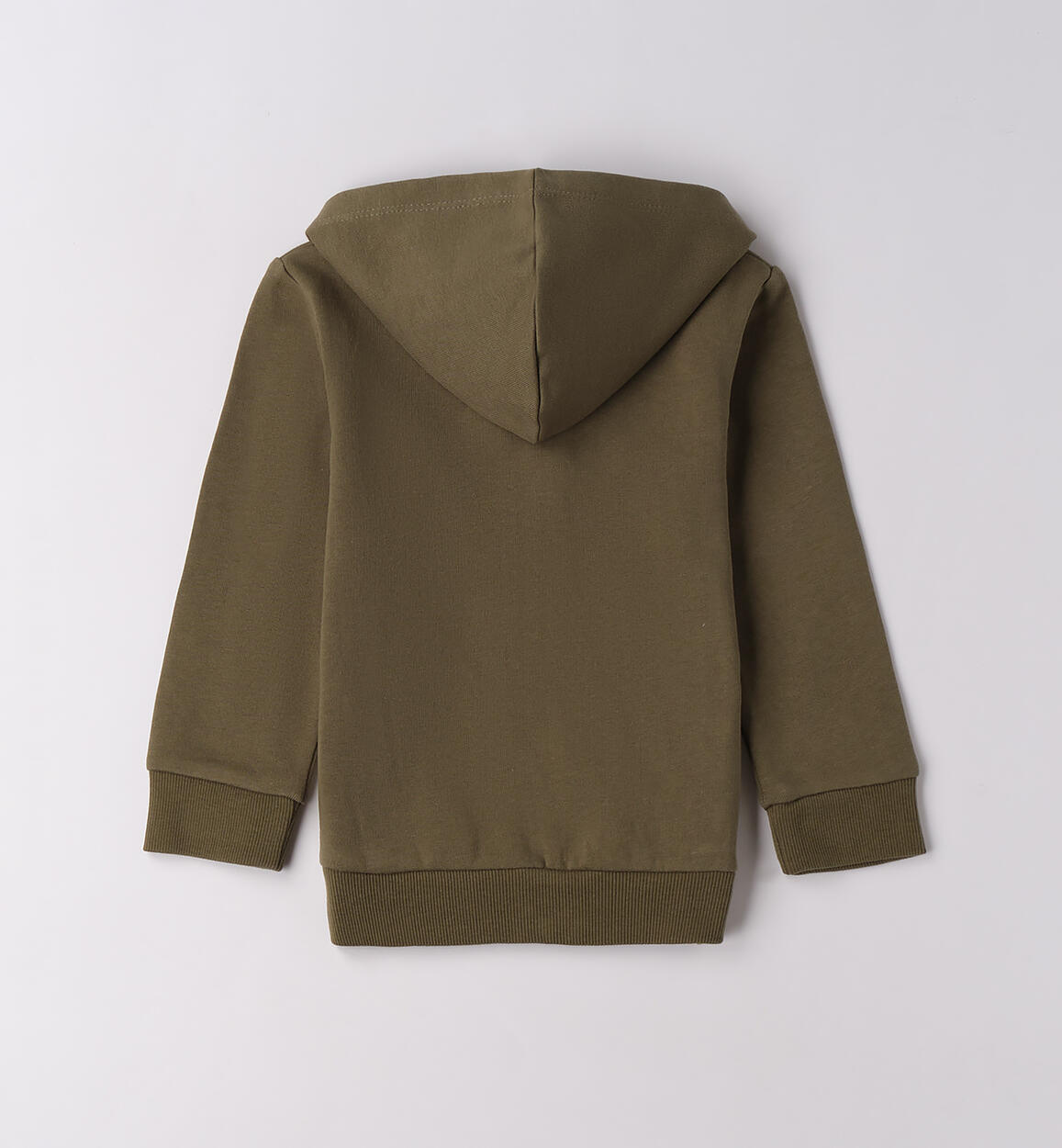 Felpa bambino con cappuccio  VERDE SALVIA-4951 - 1204F83400