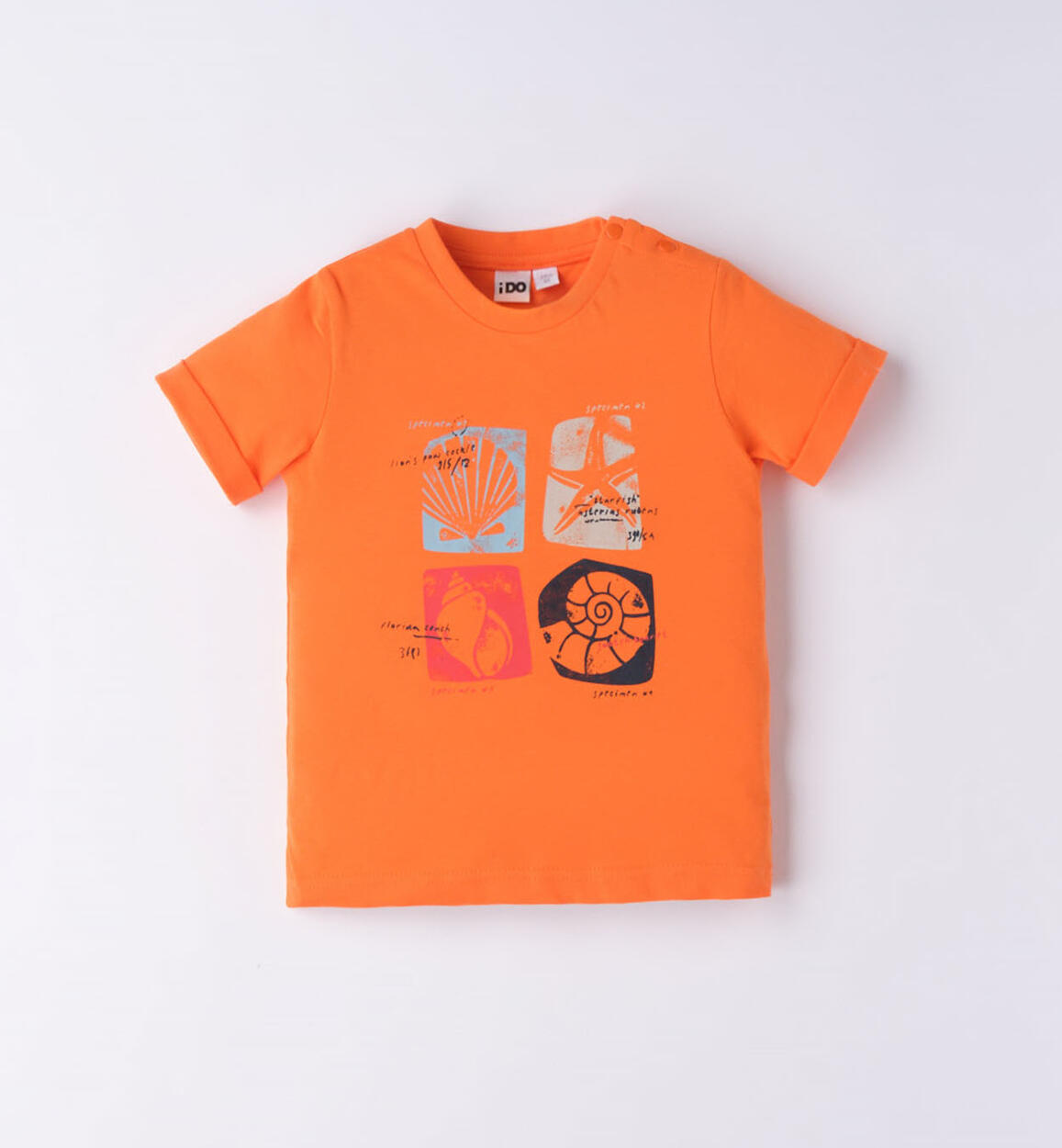 T-shirt bambino conchiglie ARANCIONE iDO