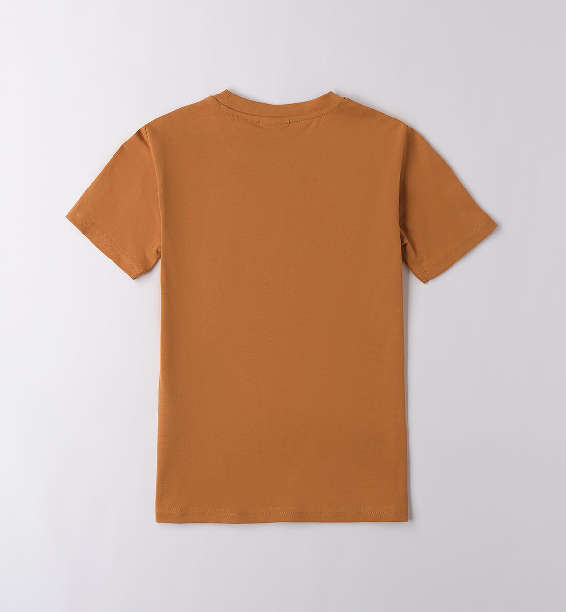 T-shirt da ragazzo Sarabanda RUGGINE-1115 - 2430B74600