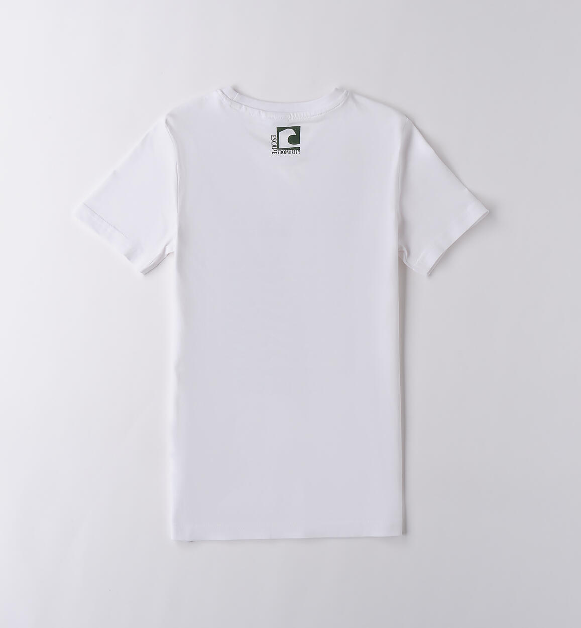 T-shirt per ragazzo BIANCO-0113 - 2434B62900