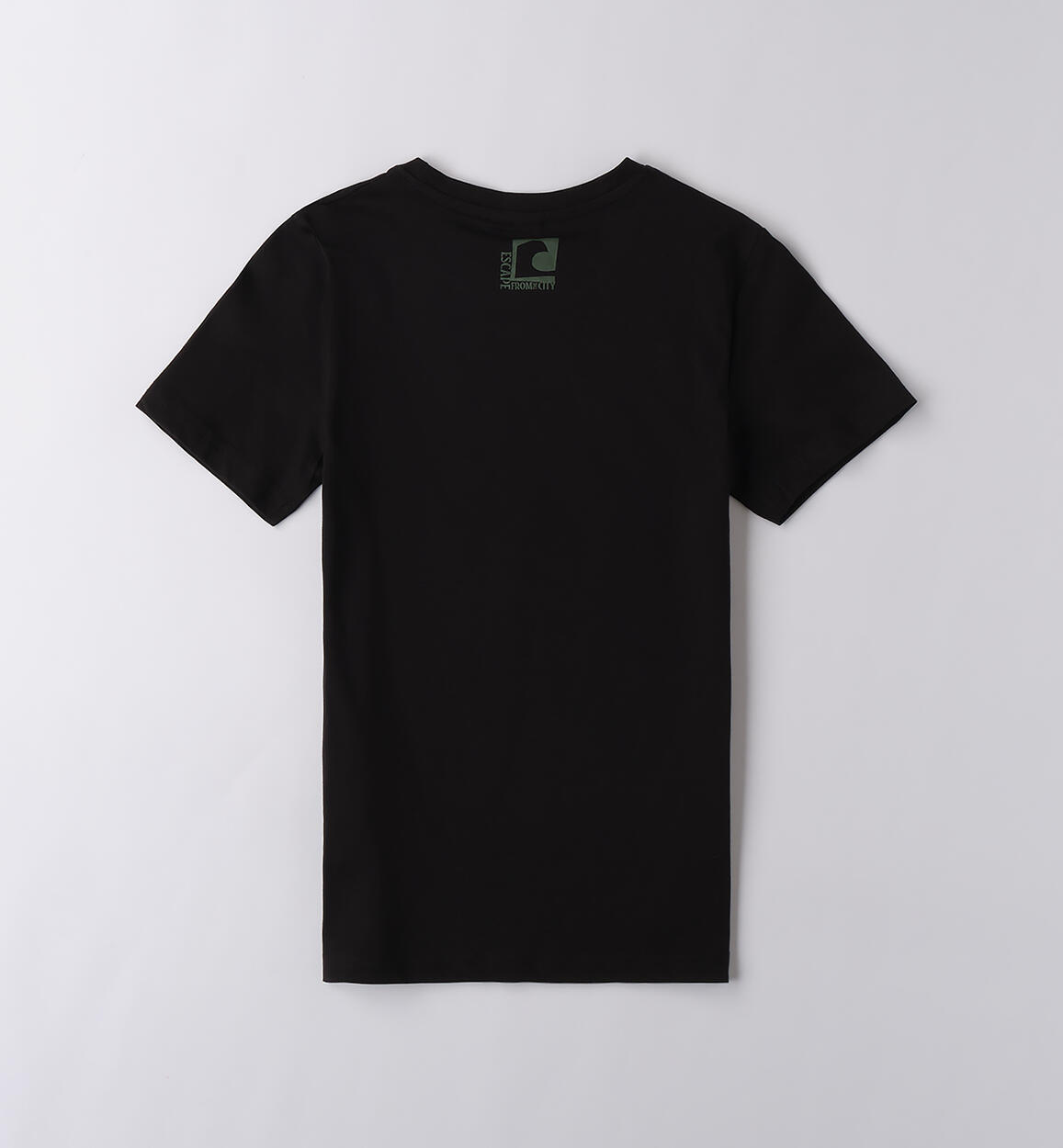 T-shirt per ragazzo NERO-0658 - 2434B62900