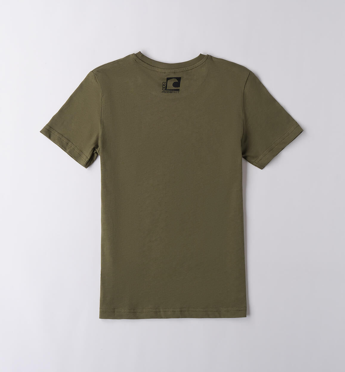 T-shirt per ragazzo VERDE SALVIA-4951 - 2434B62900