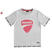 T-shirt bambino 100% cotone Sarabanda interpreta Ducati sarabanda			GRIGIO-0571