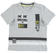T-shirt in jersey di cotone decorata da stampa frontale  GRIGIO MELANGE-8992